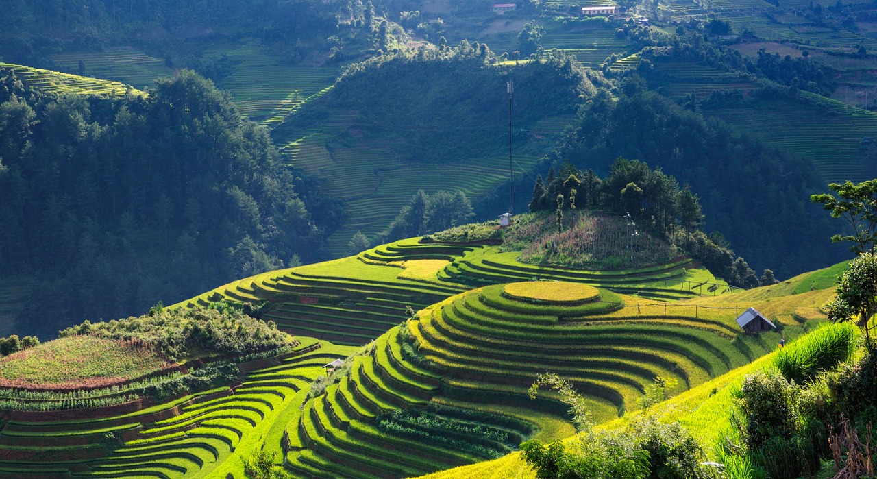 Hidden Lenses: Capturing the Heart of Mu Cang Chai